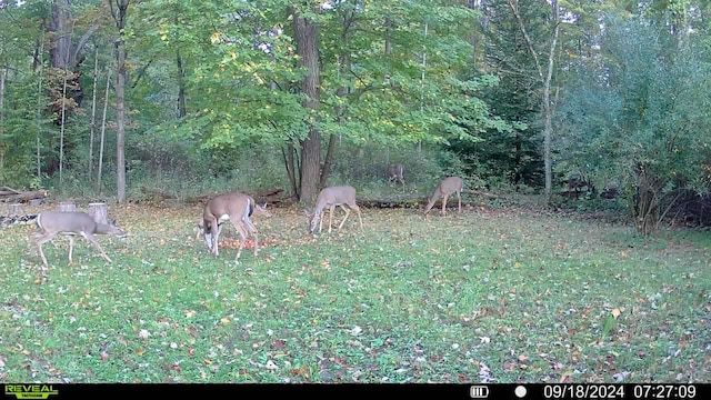 00 Rattle Run, Saint Clair, MI 48079