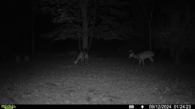 00 Rattle Run, Saint Clair, MI 48079