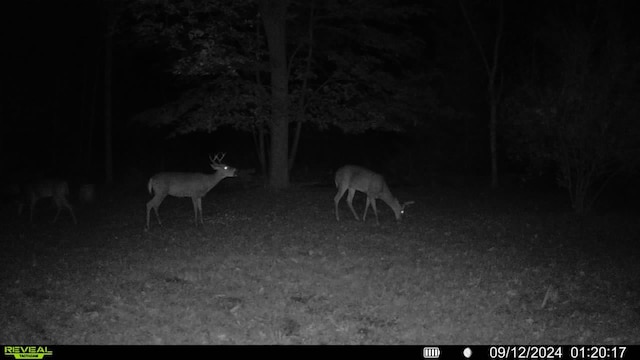 00 Rattle Run, Saint Clair, MI 48079