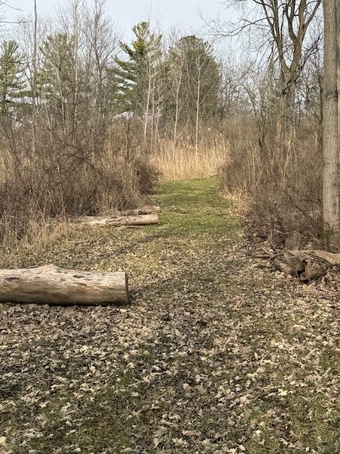 00 Rattle Run, Saint Clair, MI 48079