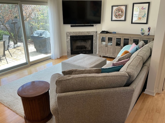 living room with wood finished floors and a fireplace