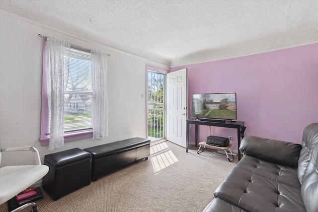 carpeted living area with a textured ceiling