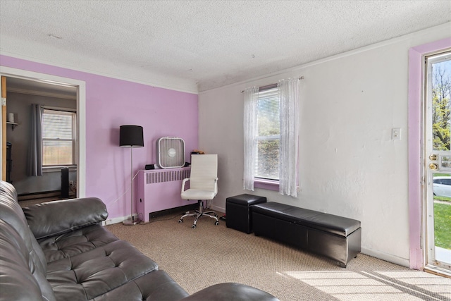 home office featuring healthy amount of natural light, a textured ceiling, carpet flooring, ornamental molding, and radiator heating unit