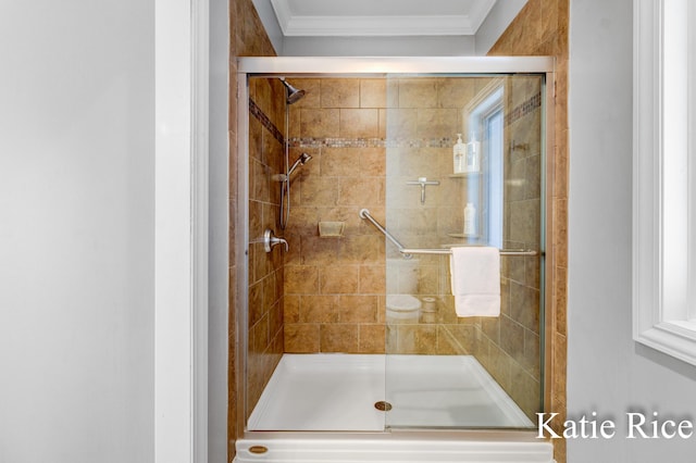 5575 Beechmont Rd, Whitehall, MI 49461 - full bathroom with a shower stall and ornamental molding