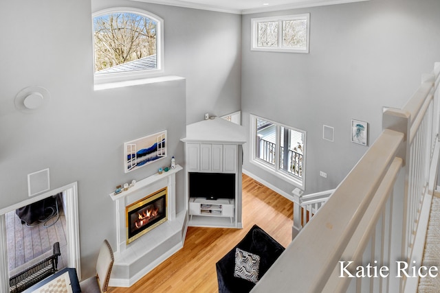 5575 Beechmont Rd, Whitehall, MI 49461 - living room with a high ceiling, light wood finished floors, visible vents, ornamental molding, and a glass covered fireplace