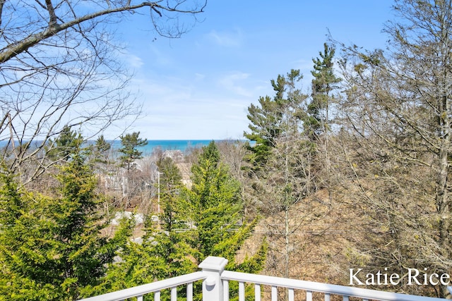 5575 Beechmont Rd, Whitehall, MI 49461 - view of water feature