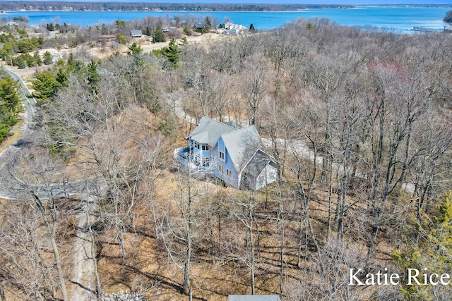 5575 Beechmont Rd, Whitehall, MI 49461 - aerial view featuring a water view