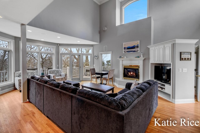 5575 Beechmont Rd, Whitehall, MI 49461 - living area featuring a glass covered fireplace, baseboards, light wood-style floors, and a wealth of natural light