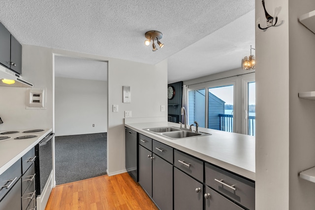 kitchen with a sink, light wood-style flooring, dishwasher, light countertops, and under cabinet range hood