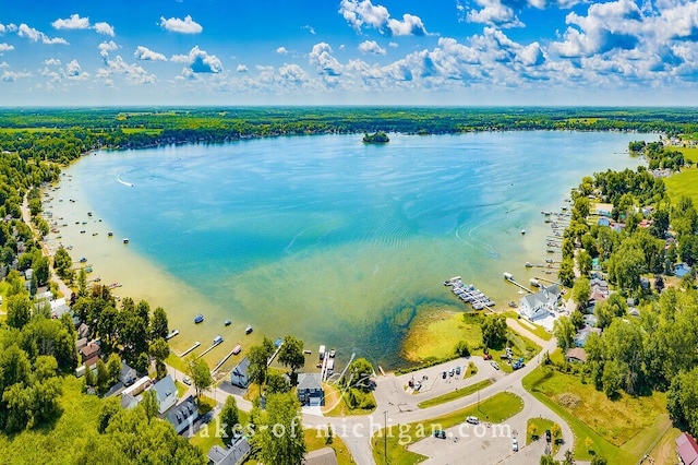 213 E Lake St, Crystal, MI 48818 - drone / aerial view of a large body of water
