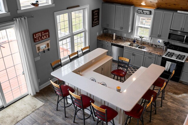 1219 Nokomis Dr, Gladwin, MI 48624 - kitchen featuring stainless steel appliances, gray cabinets, a sink, dark wood-type flooring, and a kitchen bar