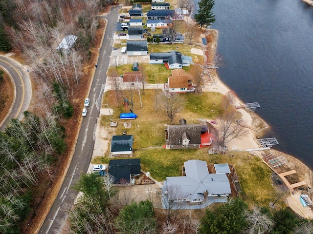 1219 Nokomis Dr, Gladwin, MI 48624 - birds eye view of property
