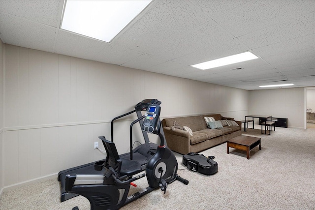 workout area featuring a paneled ceiling and carpet