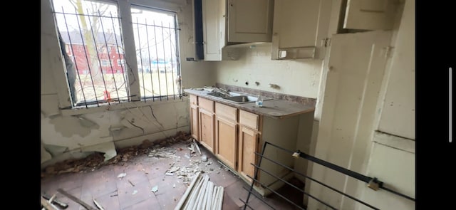 kitchen featuring decorative backsplash and a sink
