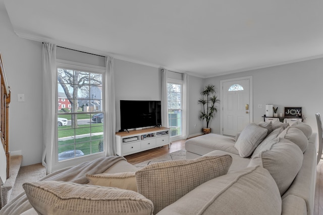 living room featuring light wood finished floors, plenty of natural light, and crown molding