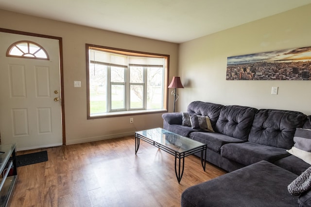 living room featuring baseboards and wood finished floors