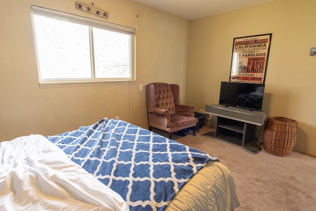 bedroom with carpet floors