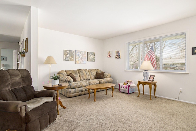 living area featuring baseboards and carpet