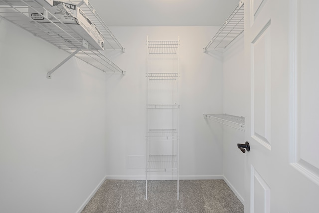 1525 Hiller Rd, West Bloomfield, MI 48324 - walk in closet featuring carpet