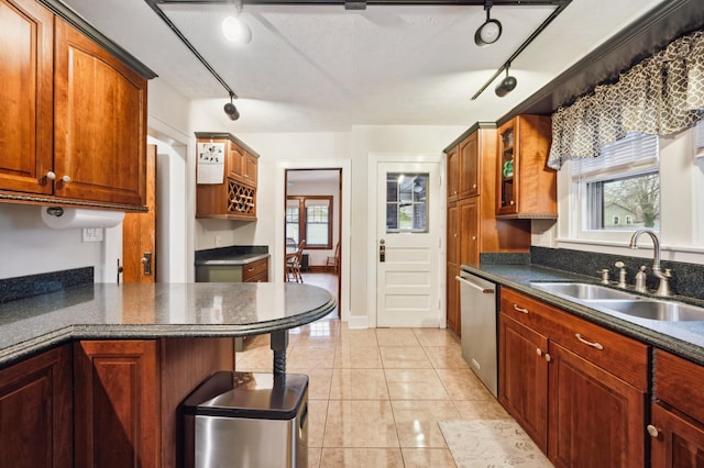 kitchen featuring rail lighting, stainless steel dishwasher, dark countertops, and a sink
