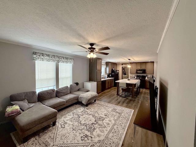1226 Wellington Dr, Mount Pleasant, MI 48858 - photo 8