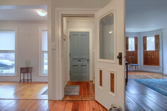 entrance foyer featuring hardwood / wood-style flooring