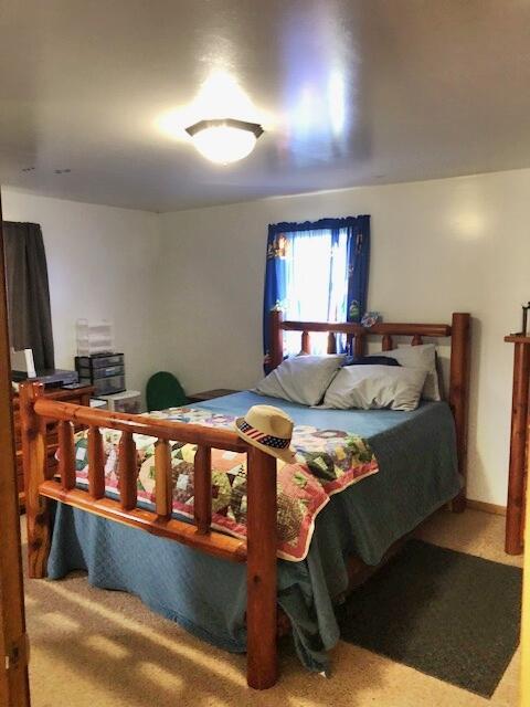 2962 N Johnson Rd, Trufant, MI 49347 - photo 12