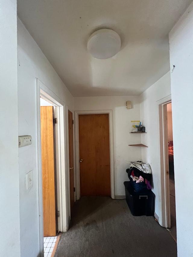 2011 Goddard Rd, Lincoln Park, MI 48146 - hall with carpet floors
