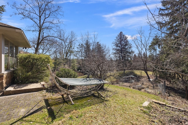 view of yard