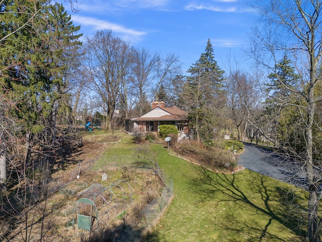 view of yard with a garden