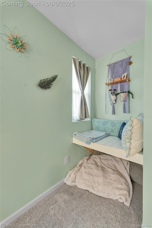 51306 Kirby Dr, Chesterfield, MI 48047 - carpeted bedroom with baseboards