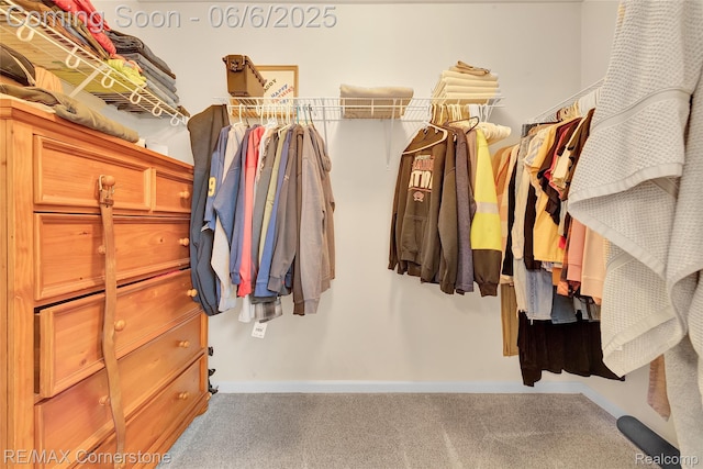 51306 Kirby Dr, Chesterfield, MI 48047 - spacious closet with carpet floors