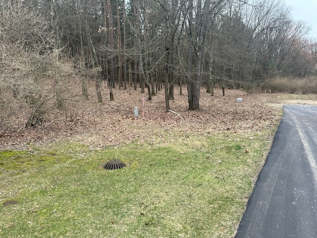 7165 Sanctuary Dr, Jackson, MI 49201 - photo 11