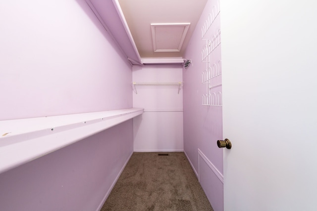 walk in closet featuring attic access and carpet