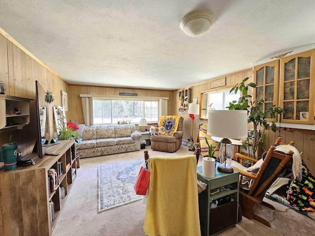 carpeted living room with a textured ceiling and wood walls