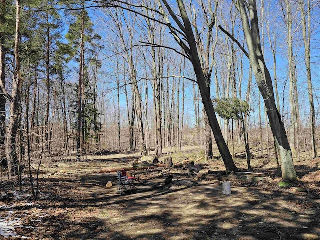 view of property's community