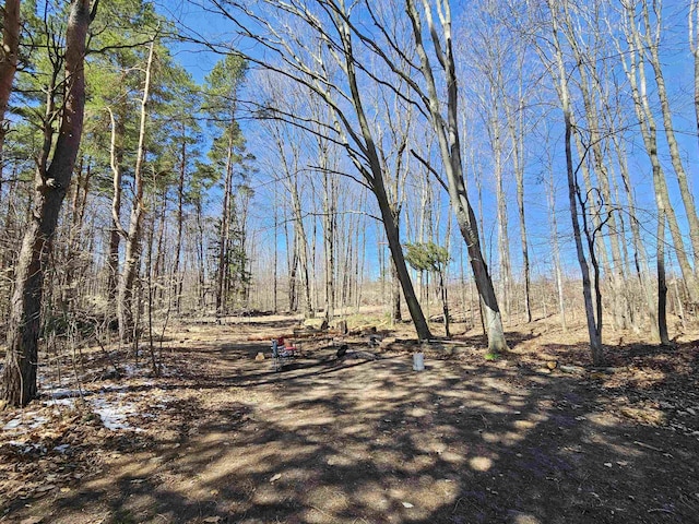 view of landscape