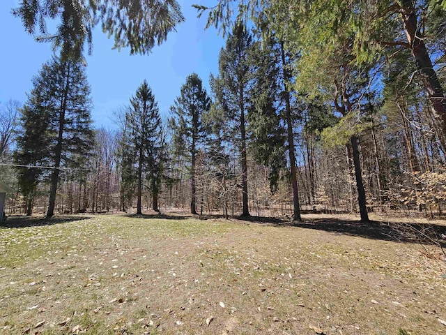 view of local wilderness