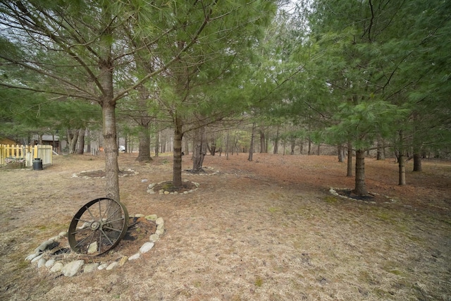 9155 Ivanhoe Dr, Onekama, MI 49675 - view of yard