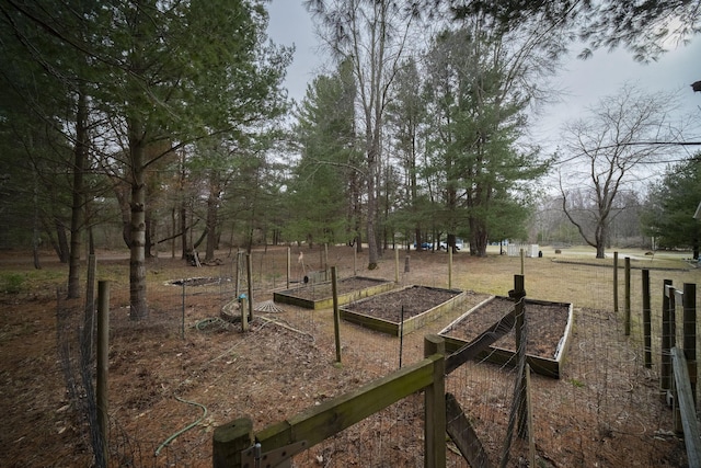 9155 Ivanhoe Dr, Onekama, MI 49675 - view of yard with a vegetable garden