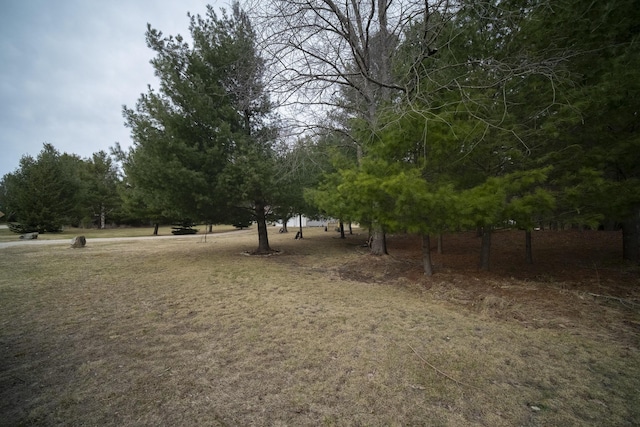 9155 Ivanhoe Dr, Onekama, MI 49675 - view of yard