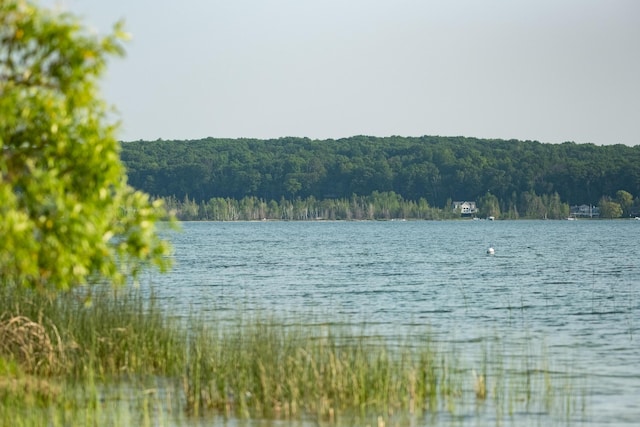 9155 Ivanhoe Dr, Onekama, MI 49675 - water view with a forest view