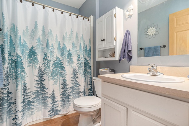 full bathroom featuring toilet, vanity, wood finished floors, and curtained shower