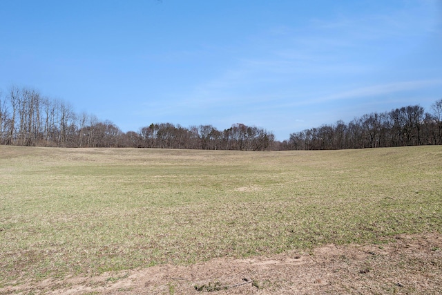 view of yard featuring a rural view and a view of trees