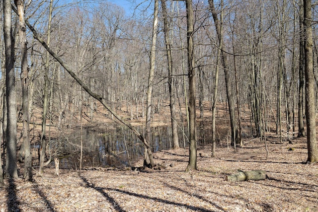 view of local wilderness