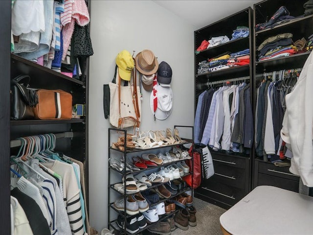 walk in closet featuring carpet flooring