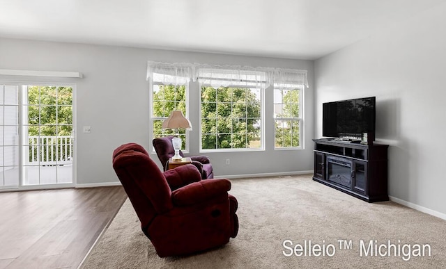 2520 E Turning Leaf Way Unit 198, Fruitport, MI 49415 - photo 13
