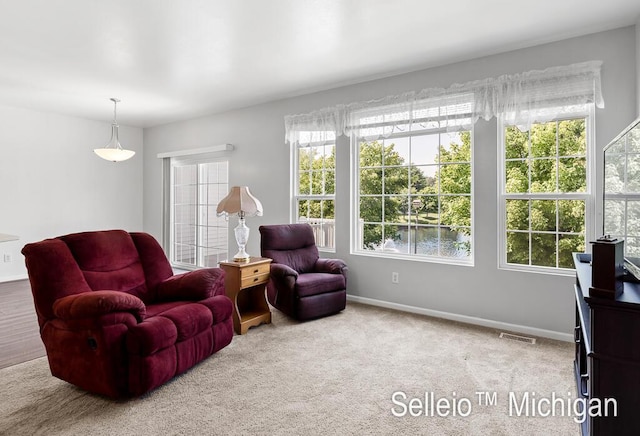 2520 E Turning Leaf Way Unit 198, Fruitport, MI 49415 - photo 14
