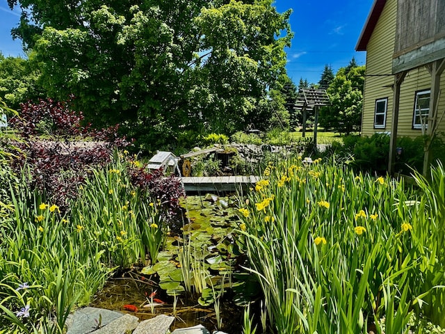 5670 S Niles Rd, Saint Joseph, MI 49085 - view of yard
