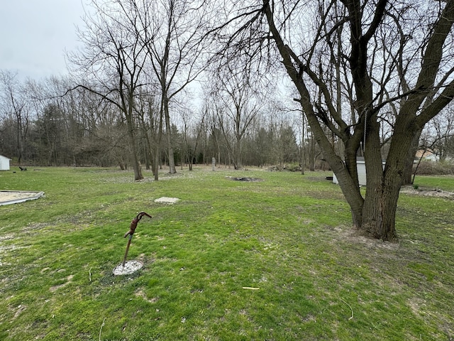 8066 Talladay Rd, Whittaker, MI 48190 - view of yard